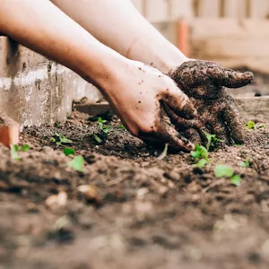 Imagen de portada para Ebook La naturaleza