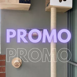 Imagen de portada para Curso online Gimnasio para gatos 