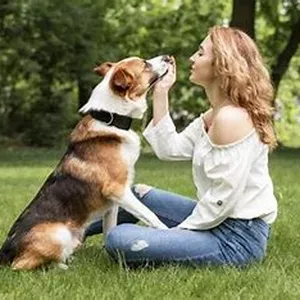 Imagen de portada para Ebook  CÓMO ENTRENAR A TU PERR0