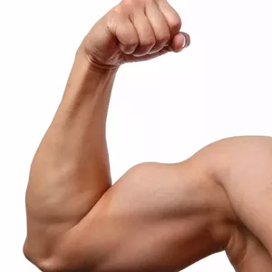 Imagem de capa para o Ebook Libid Max - Guia para aumento de Potência Sexual