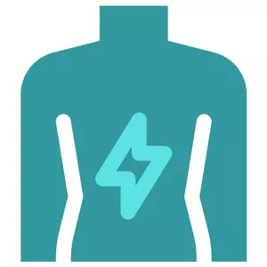 Imagen de portada para Curso online Espalda Sin Dolor