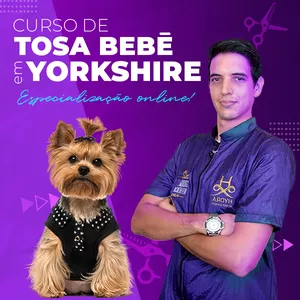 Imagem do curso Tosa Bebê em Yorkshire 