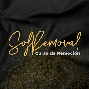 Imagen de portada para Curso online SoftRemoval