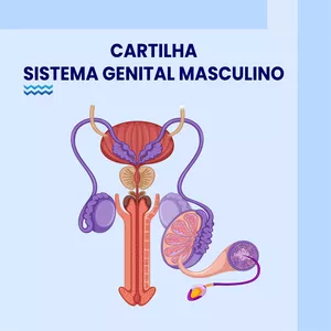 Imagem principal do produto CARTILHAS DE EMBRIOLOGIA - SISTEMA GENITAL MASCULINO