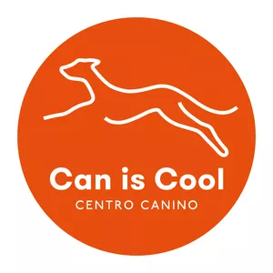 Imagen de portada para Curso online Salidas a la calle - la Biblia de Can is Cool