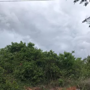 Imagen de portada para Curso online New future