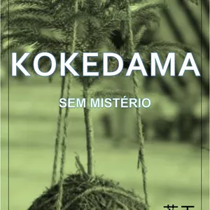 Imagem principal do produto Kokedama sem mistério