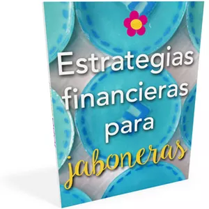 Imagen de portada para Curso online Estrategias Financieras para Jaboneras