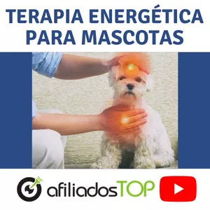 Terapia Energética Para Mascotas + Certificado + Bonos + Garantía