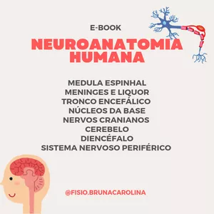 Imagem de capa para o Ebook E-book de neuroanatomia humana