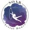SOAR Aerial Dance