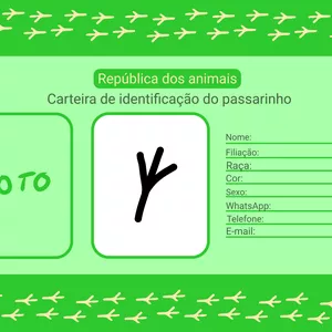 Imagem de capa para o Curso online Carteira de identidade pet, pássaro, animal de estimação