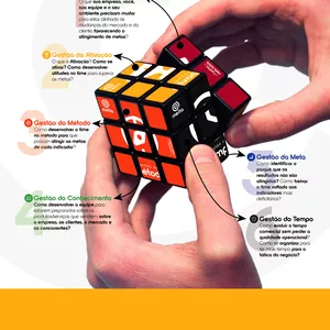 Imagem de capa para o Curso online [Extensão 1 ano] As 6 Gestões da Meta Batida