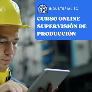 Imagen de portada para Curso online CURSO OLIINE SUPERVISOR DE PRODUCCION EC0354