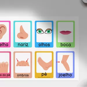 Imagem de capa para o Ebook Flashcards das Partes do Corpo Humano