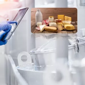 Imagem de capa para o Ebook Apostila de Inspeção de Leite e Derivados