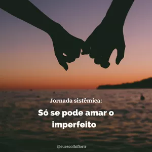 Imagem de capa para o Curso online Jornada Sistêmica: Só se pode amar o Imperfeito 