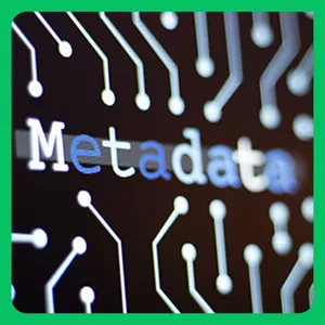 Imagem de capa para o Ebook APRENDA DEFINITIVAMENTE sobre METADADOS NA PRÁTICA!