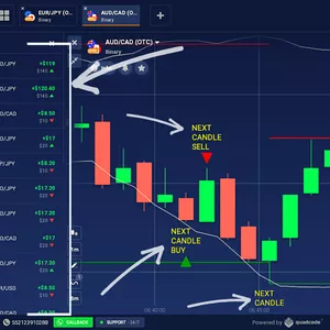 Cover image for Online course Script Nick Davis New Trading