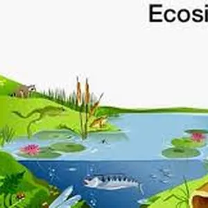 Imagen de portada para Curso online Explorando los Ecosistemas