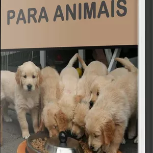 Imagem de capa para o Ebook Alimentos Caseiros para Animais 