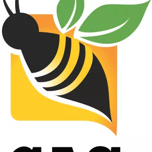 Imagem de capa para o Curso online Criação de Arte para Sublimação 1.0 [ CAS ]