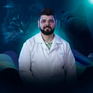 Imagem de capa para o Curso online Comunidade Medicina Felina Especial
