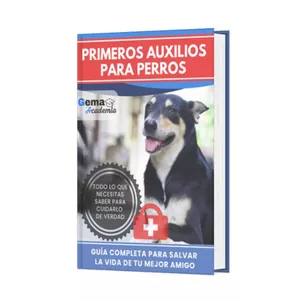 Imagen de portada para Ebook Primeros Auxilios Para Perros + Certificado.