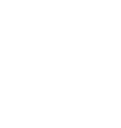 FuturoFlu