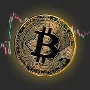 Imagem do curso Entenda Tudo Sobre o Bitcoin