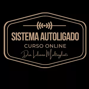 Imagem de capa para o Curso online Sistema Autoligado  | Curso Online