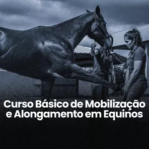 Imagem de capa para o Curso online Curso Básico de Mobilização e Alongamento em Equinos