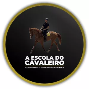 Imagem de capa para o Curso online A escola do cavaleiro