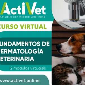 Imagen de portada para Curso online Fundamentos de Dermatología Veterinaria