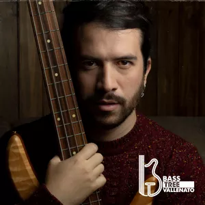 Imagen de portada para Curso online Bass Tree Vallenato
