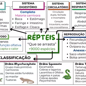 Imagem de capa para o Ebook MAPA - MENTAL RÉPTEIS