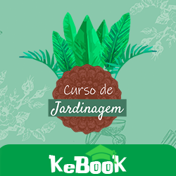 Capa do curso 