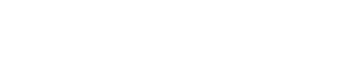 Olish Studio logo