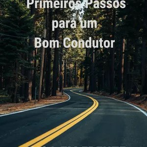 Imagem de capa para o Ebook O BOM CONDUTOR 