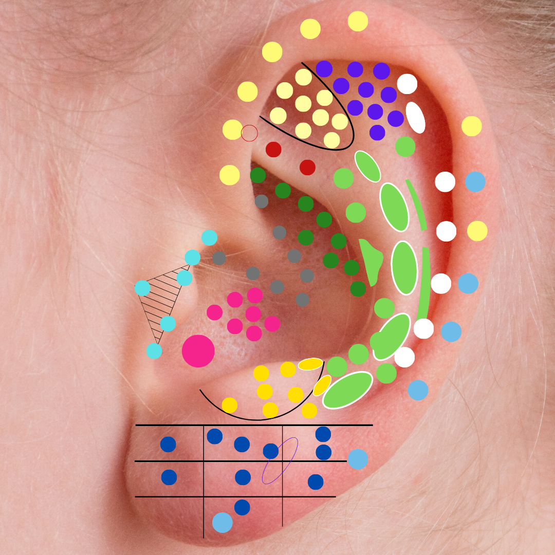 Curso Curso de Auriculoterapia Completo
