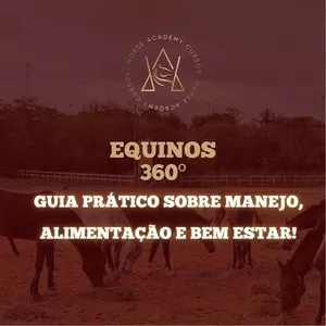 Imagem do curso Equino 360 - Guia Prático de Manejo, Alimentação e Bem Estar