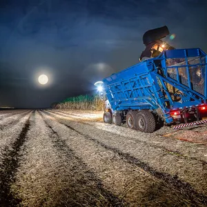 Imagem do curso 🌾 Desenvolvimento de Procedimento Padrão Operacional Para CTT