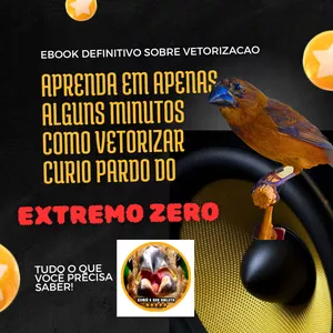 Imagem de capa para o Ebook Como vetorizar(encartar) curio pardo do zero