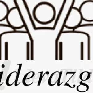 Imagen de portada para Curso online Curso Liderazgo