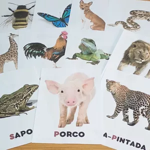 Imagem de capa para o Ebook 📚 Apostila Leitura de Animais  🐾