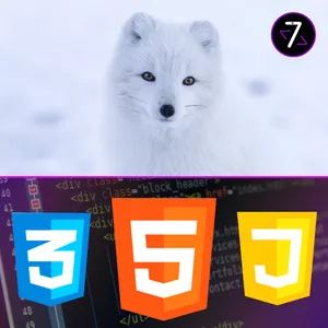 Imagem de capa para o Curso online FoxWeb - Web Design Completo