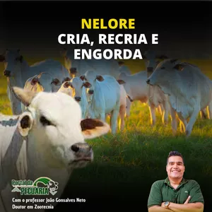 Imagem de capa para o Curso online NELORE - Cria, Recria e Engorda