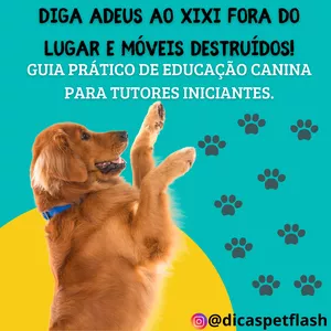 Imagem de capa para o Ebook Guia prático de educação canina para tutores iniciantes 🐾