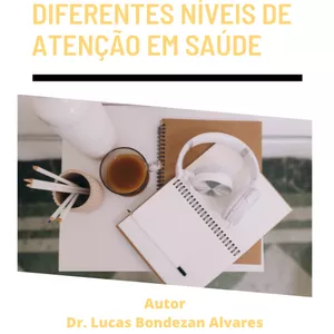 Imagem de capa para o Ebook A psicologia e seus diferentes níveis de atenção em saúde.