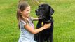 Becky's School of Dogtraining